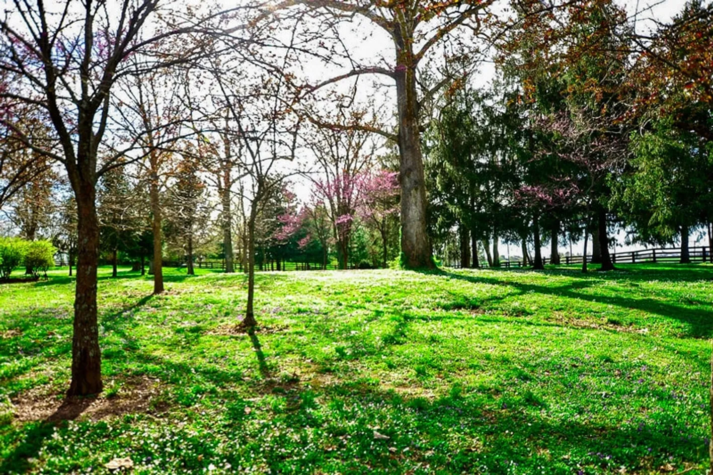 Grounds
