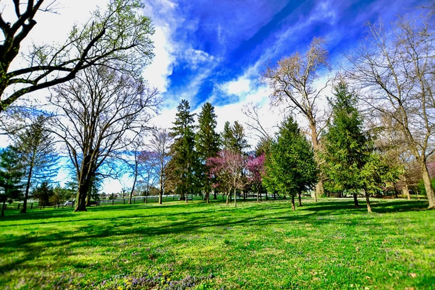Community Grounds
