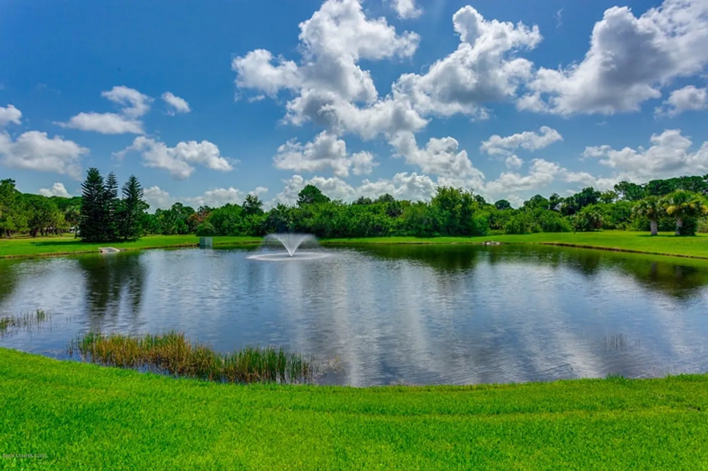 Pond