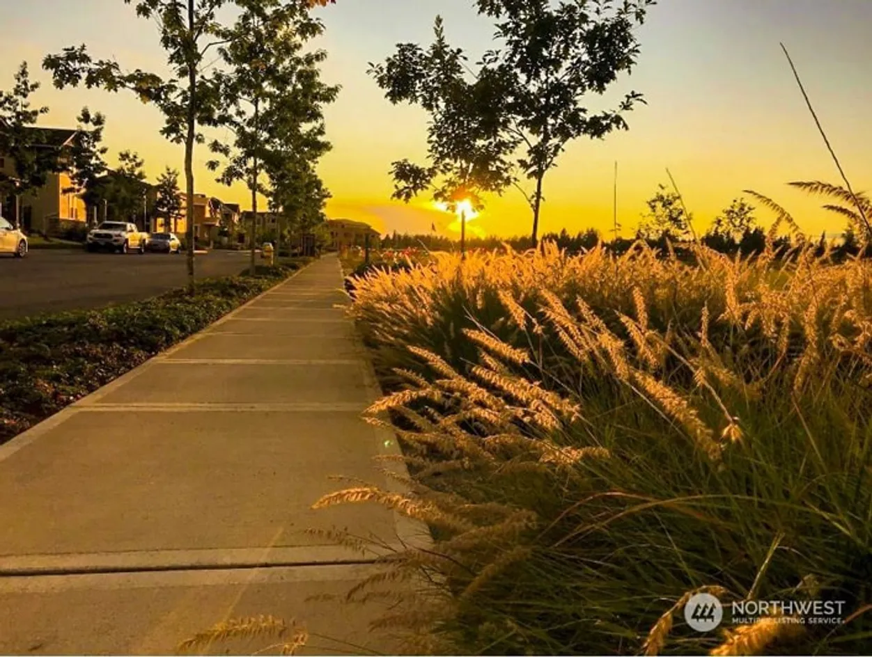 Walking Trail