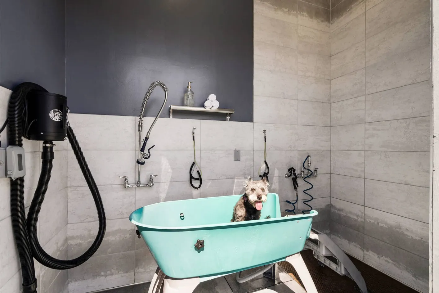 Pet Spa