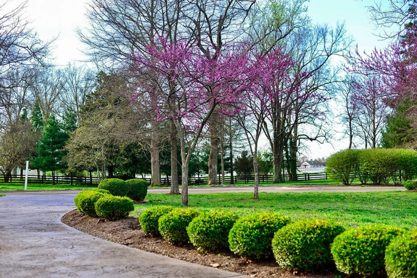 Landscaped Roads