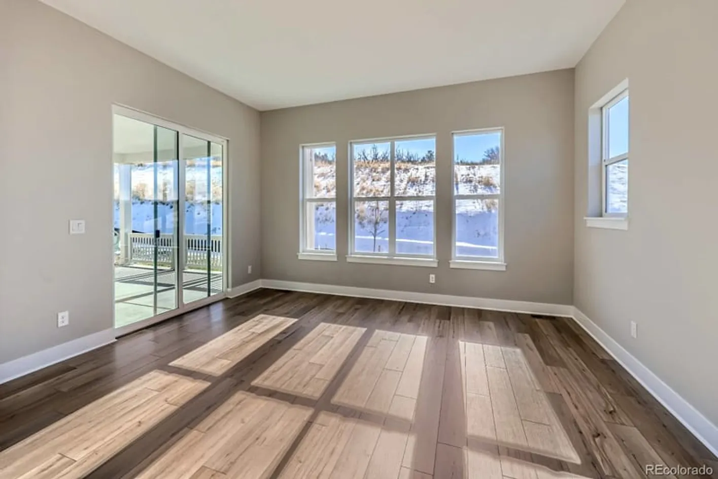 Living Room Windows