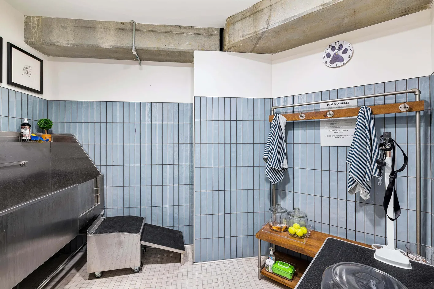 Pet Spa