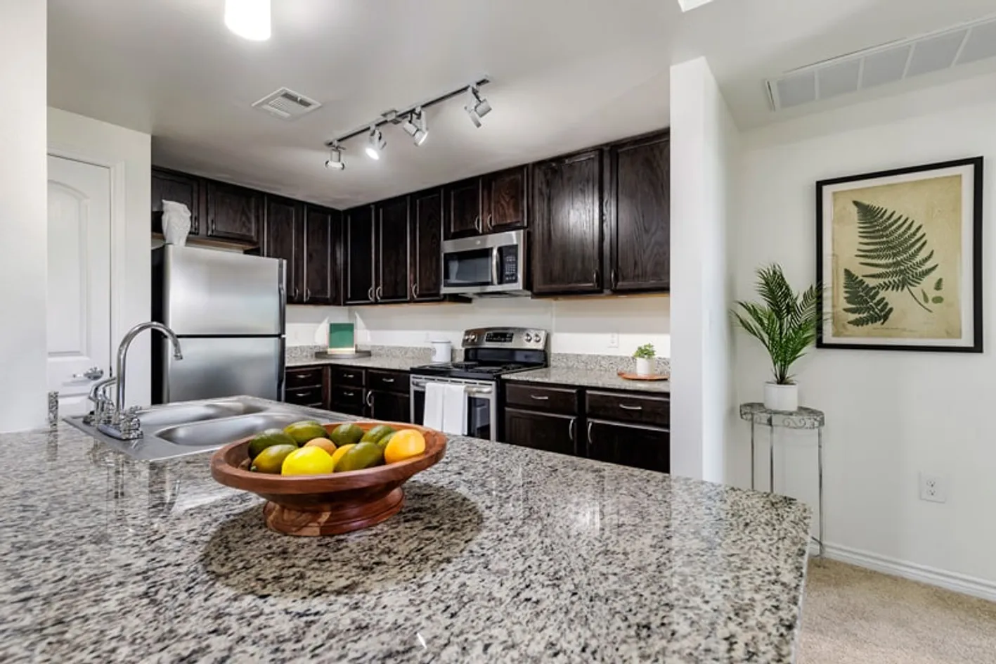 Kitchen Appliances