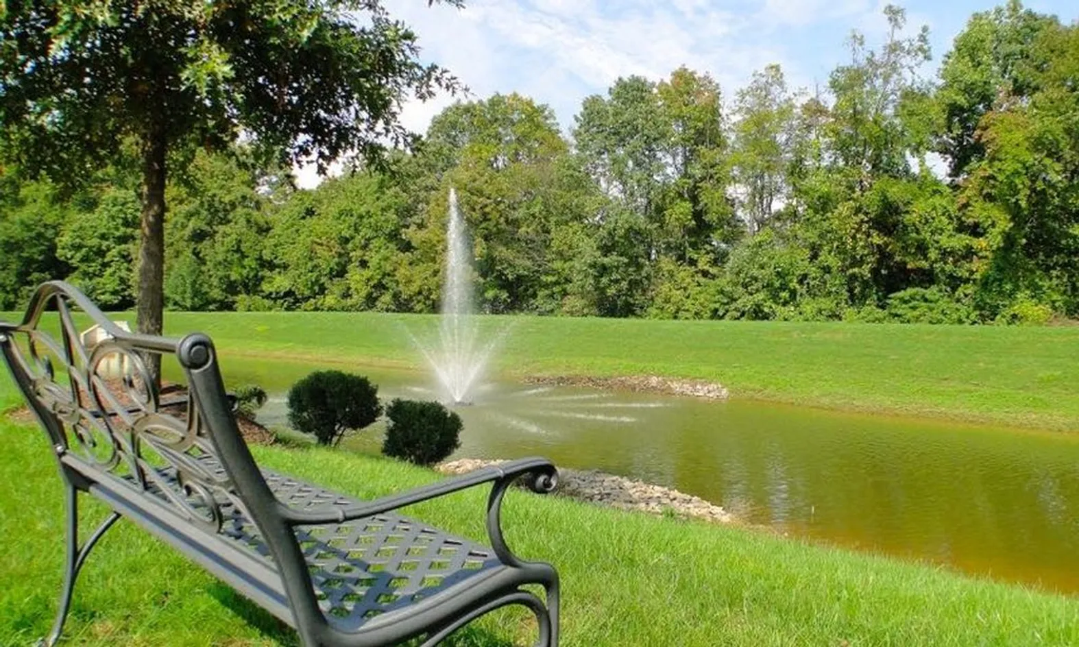 2 Scenic Ponds