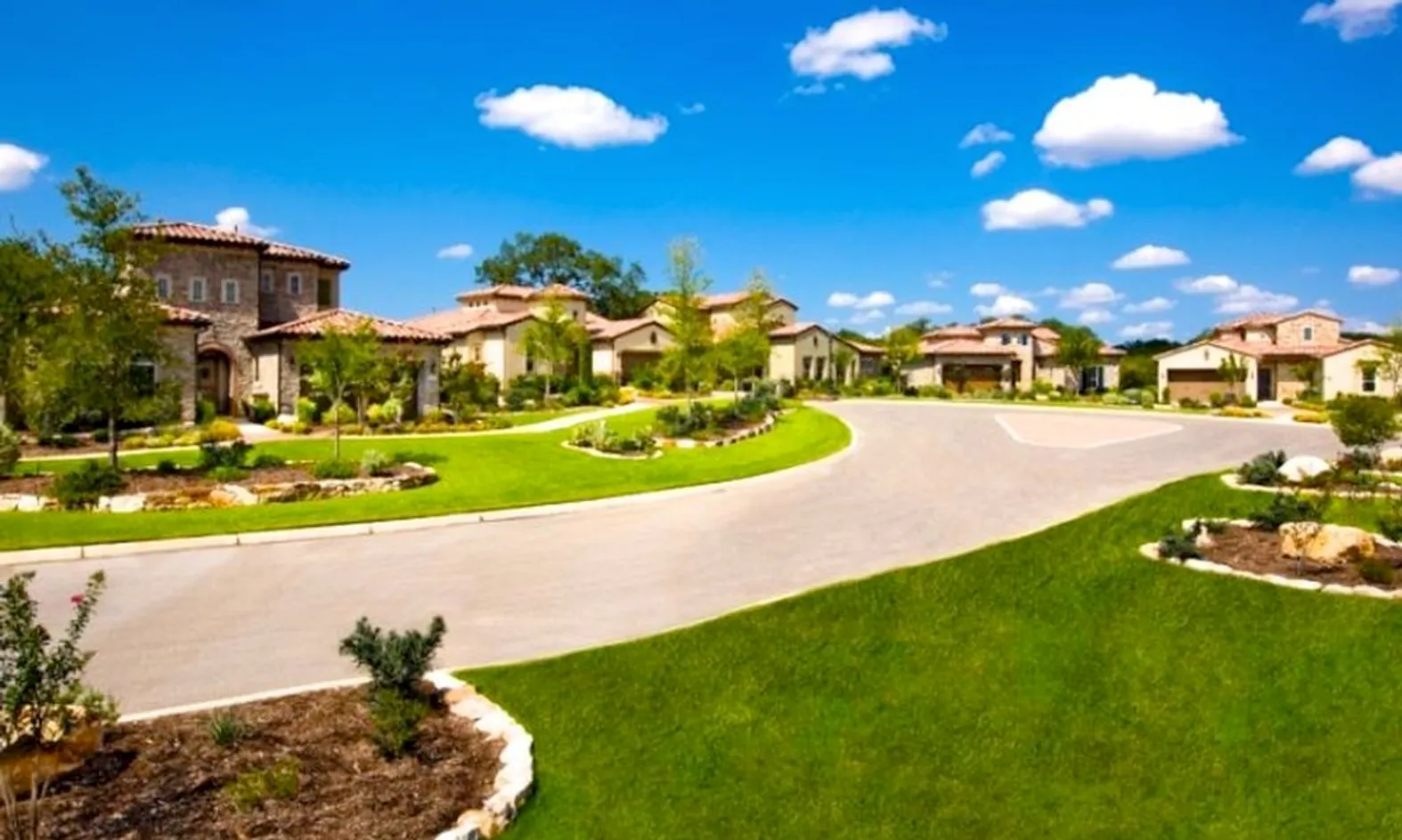 Lush Landscaping