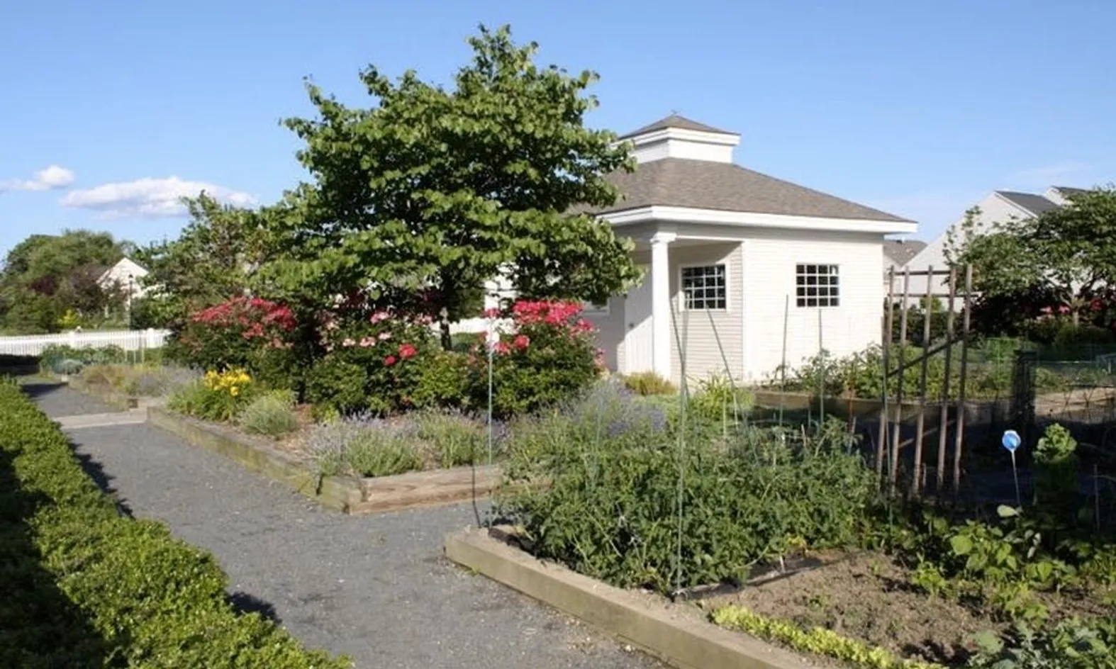Gardening Plots