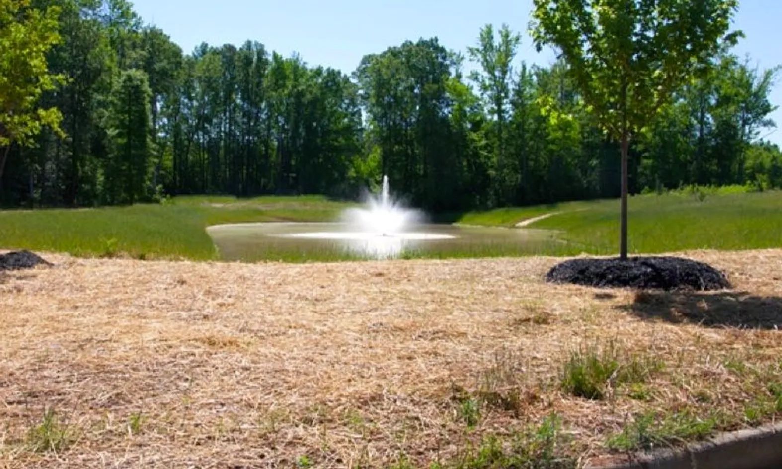Scenic Ponds