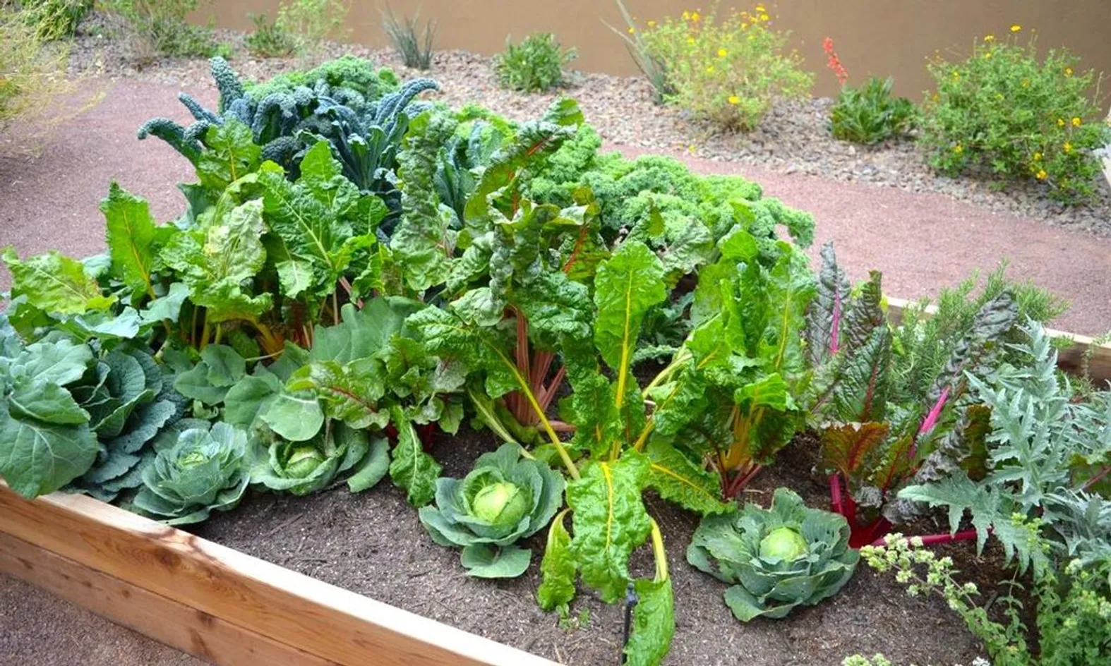 Chef's Garden