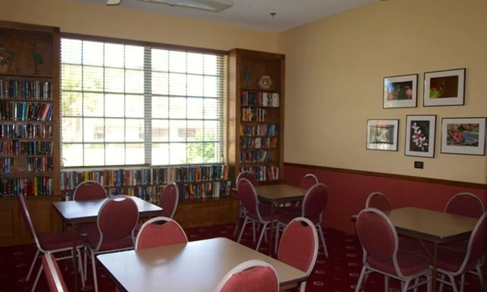 Hobby & Game Room