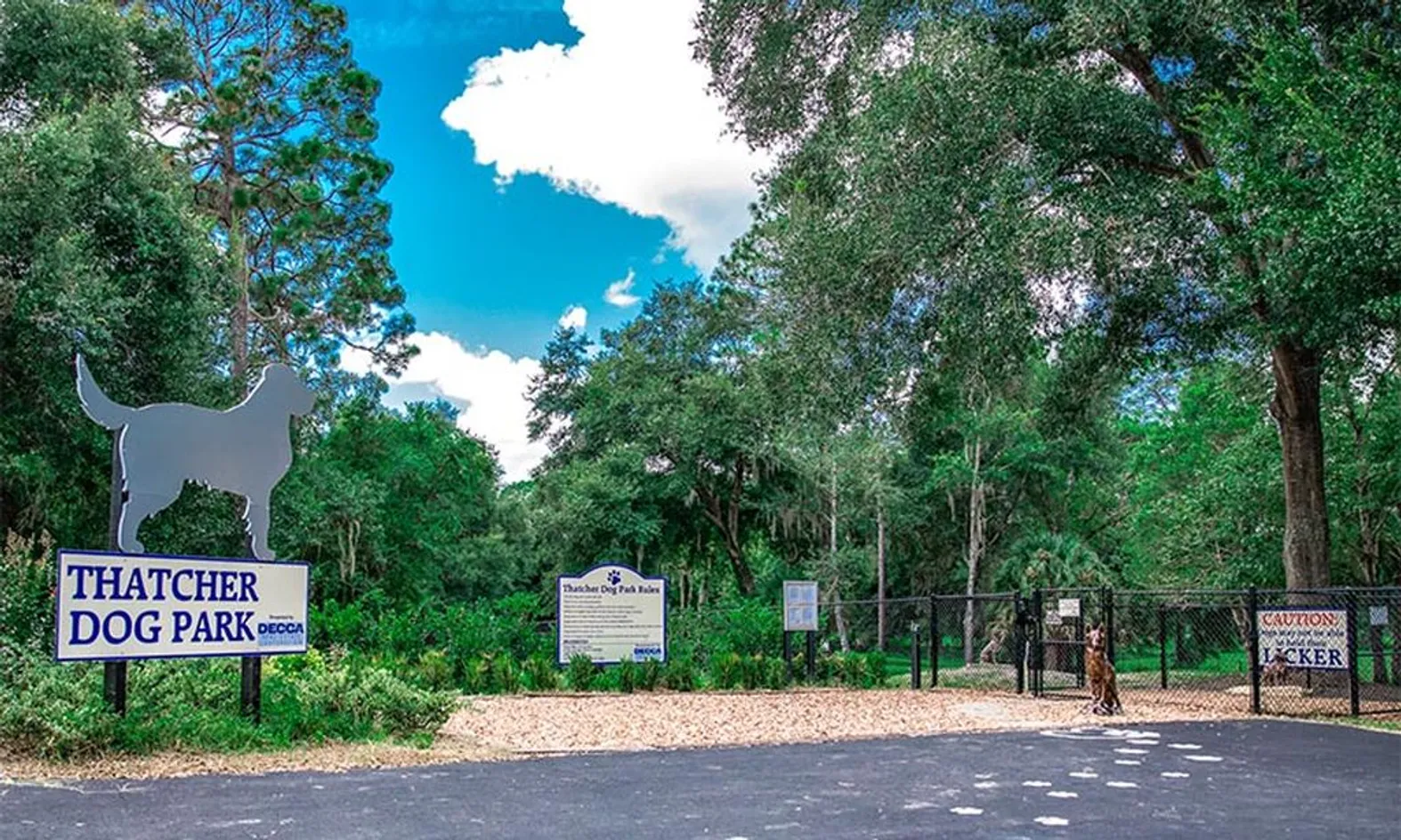 Dog Park