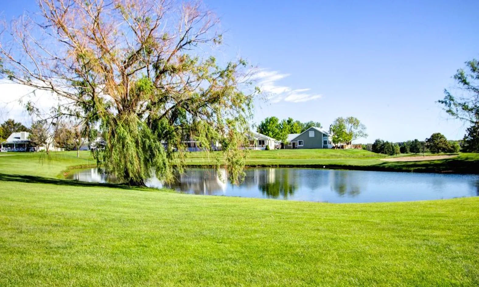 Scenic Ponds