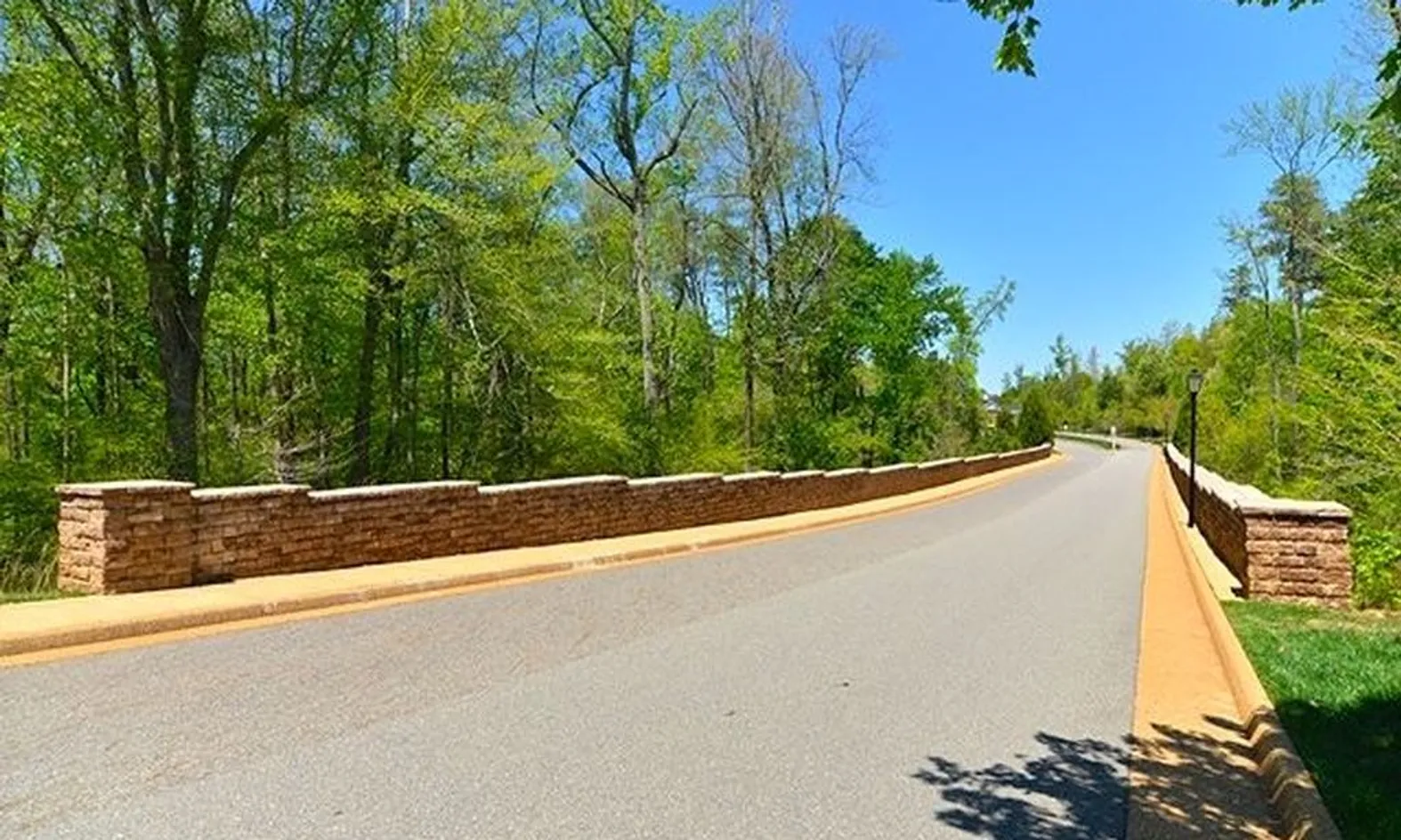 Tree-Lined Streets