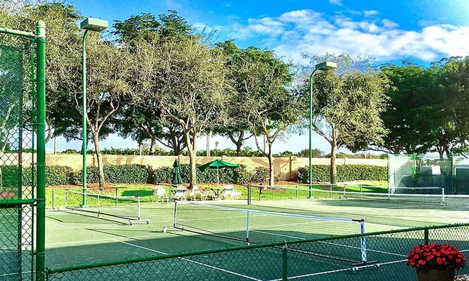 4 Lighted Pickleball Courts