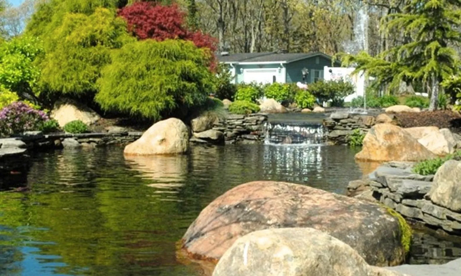 Scenic Pond