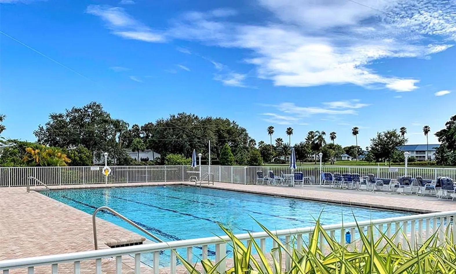 Outdoor Lap Pool