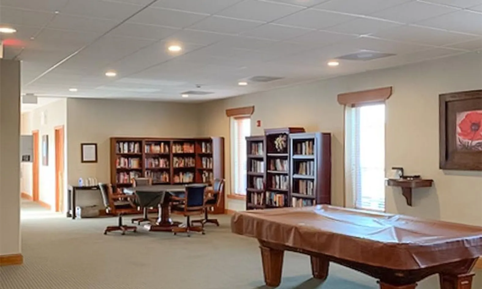 Library & Game Area with Billiards