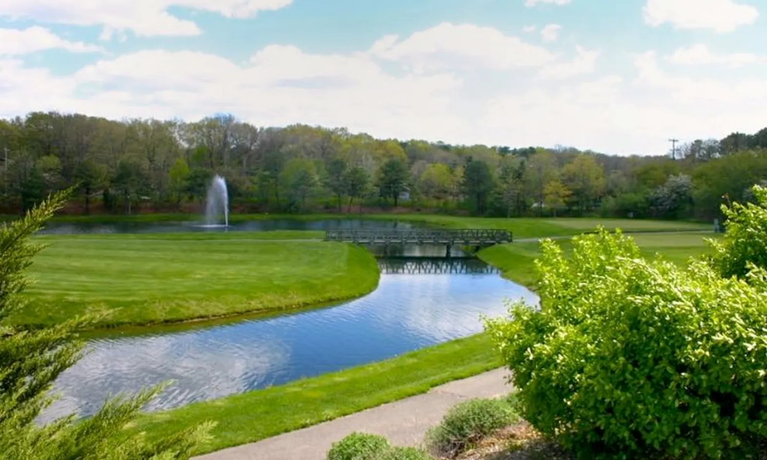 Scenic Ponds