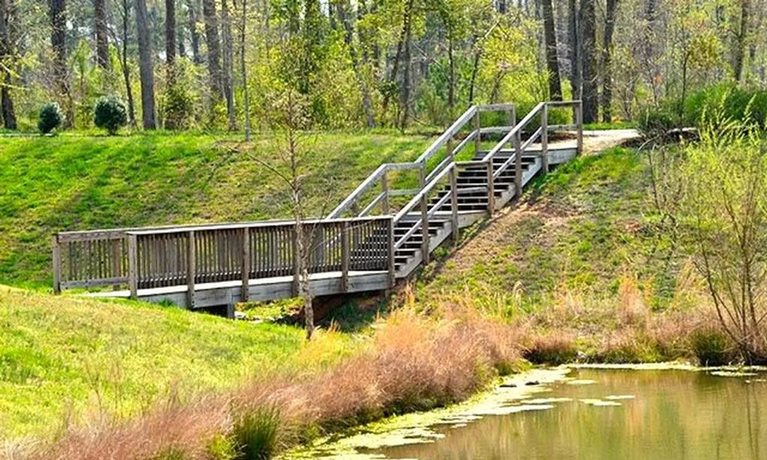 Walking Trails