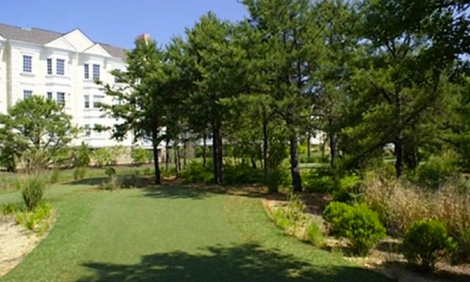 Putting Green