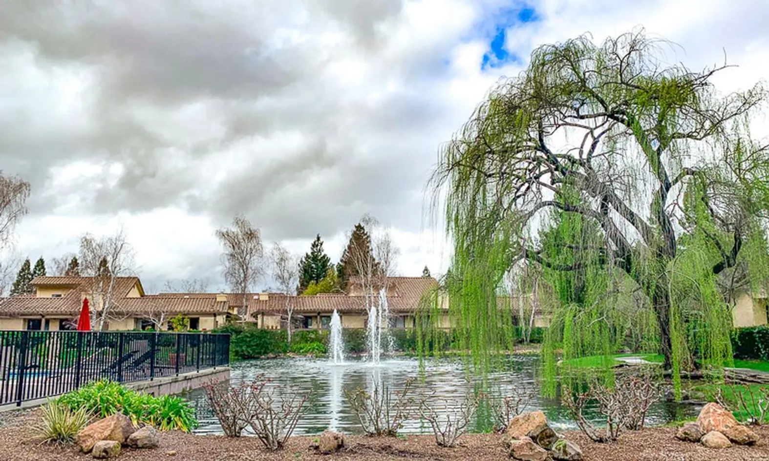 Lush Landscaping
