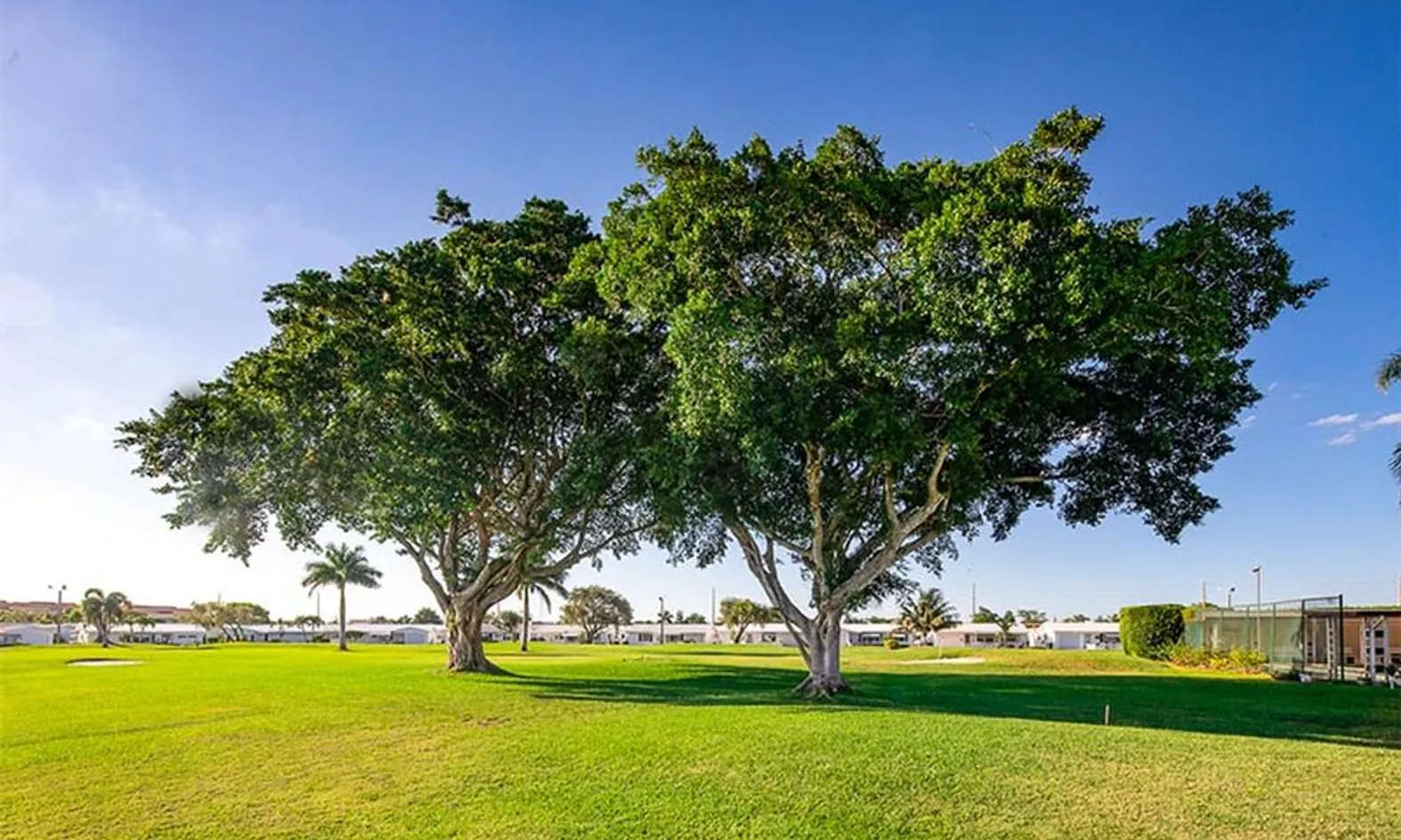 Lush Landscaping