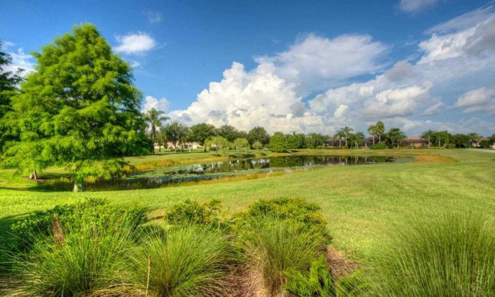 Scenic Landscaping