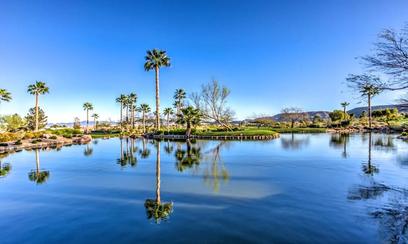 Scenic Ponds