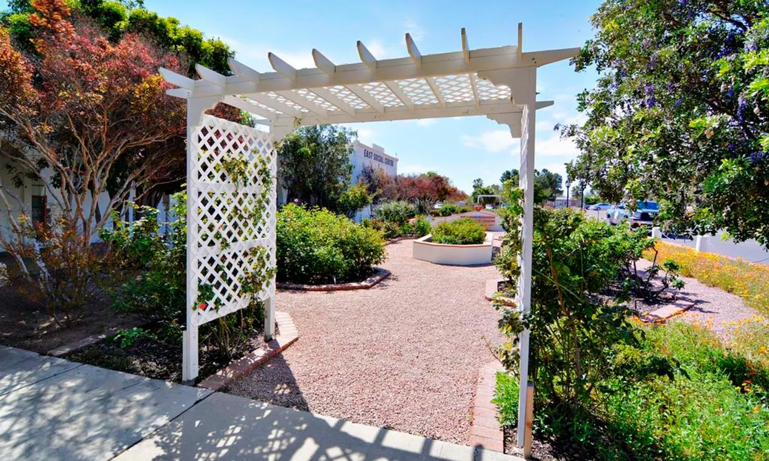 Rose Garden