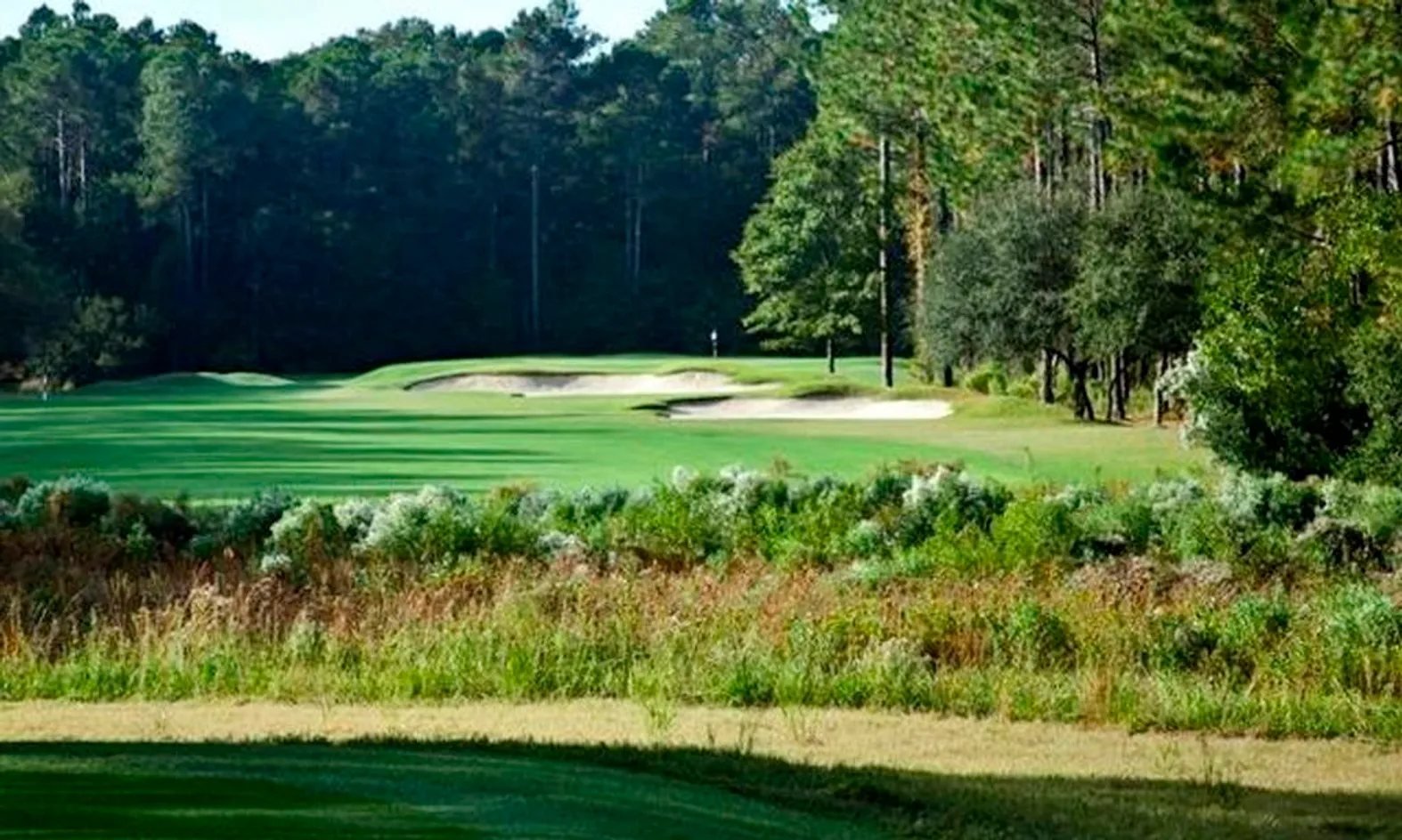 Four Golf Courses