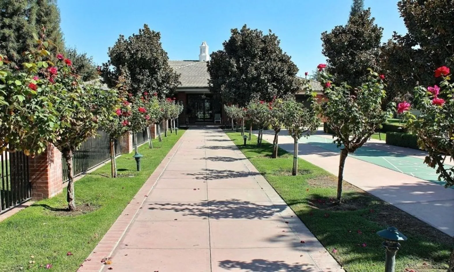 Rose Garden