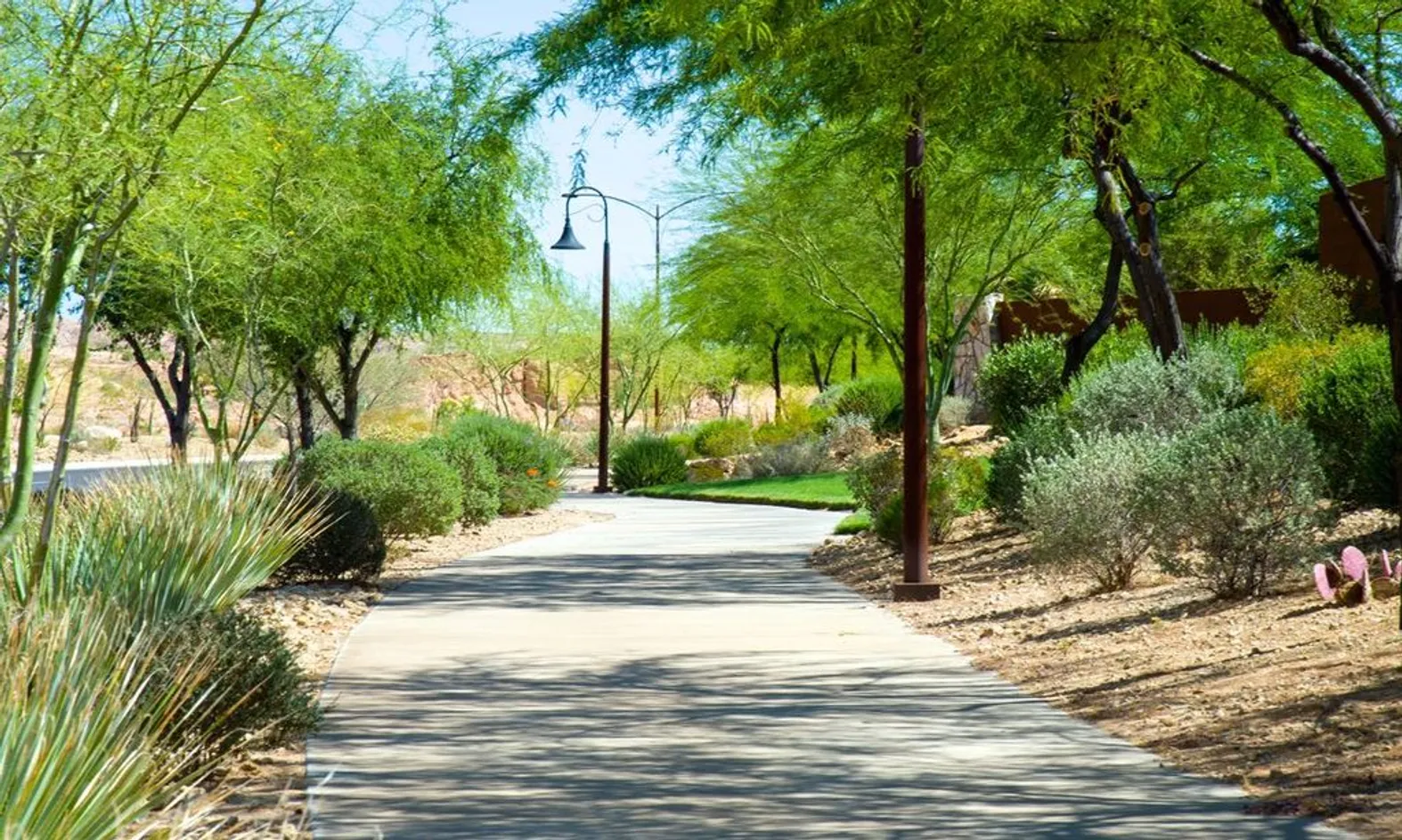 Walking & Biking Trails