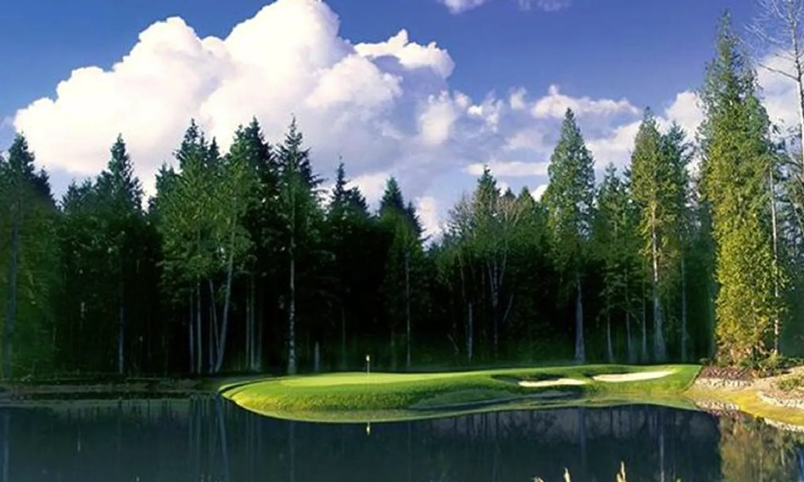 Wooded Surroundings