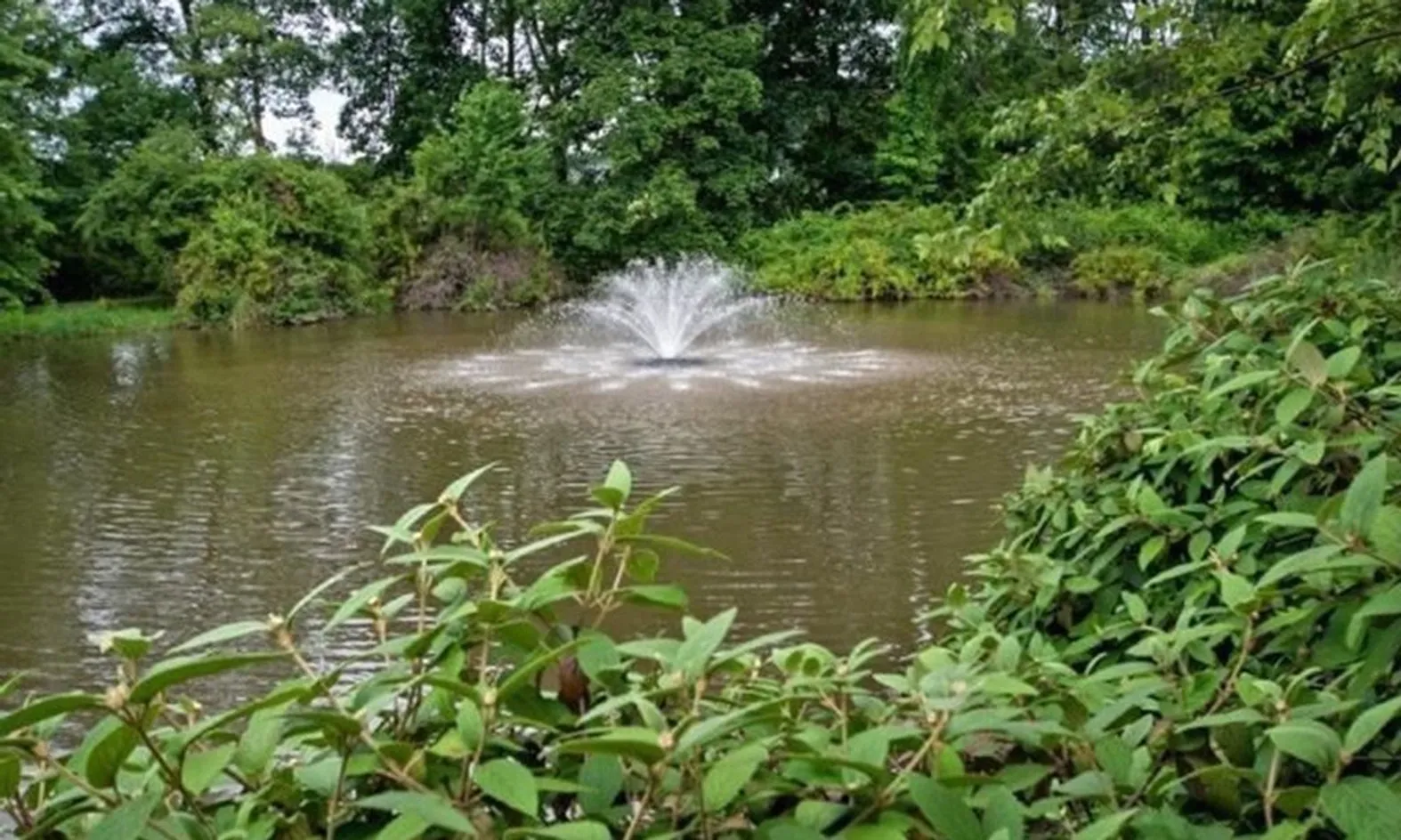 Scenic Ponds
