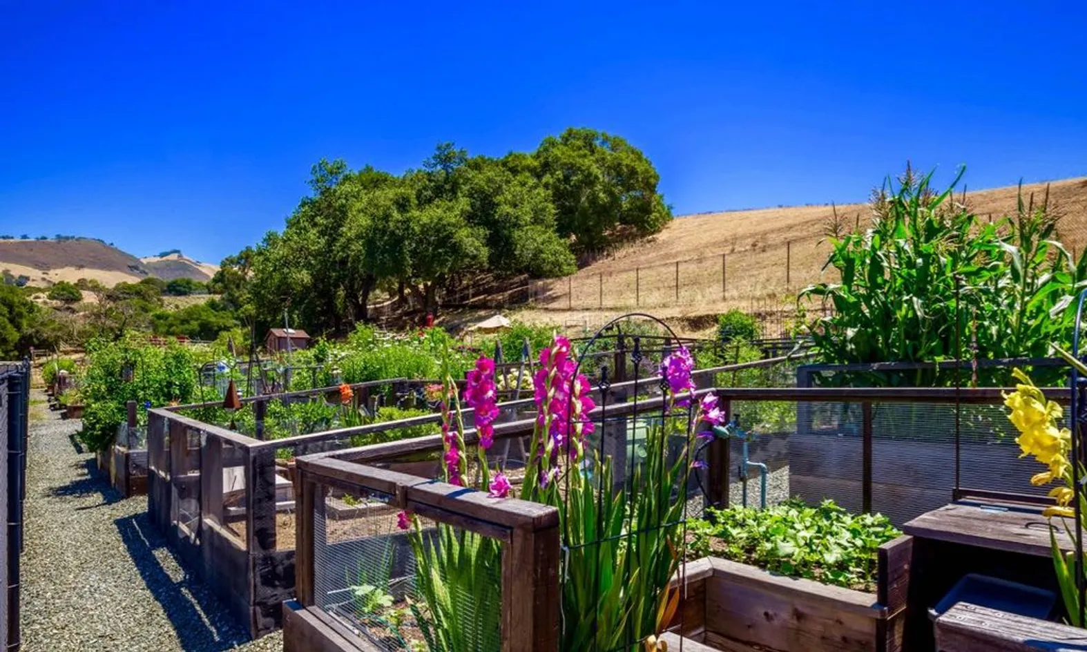 Gardening Plots