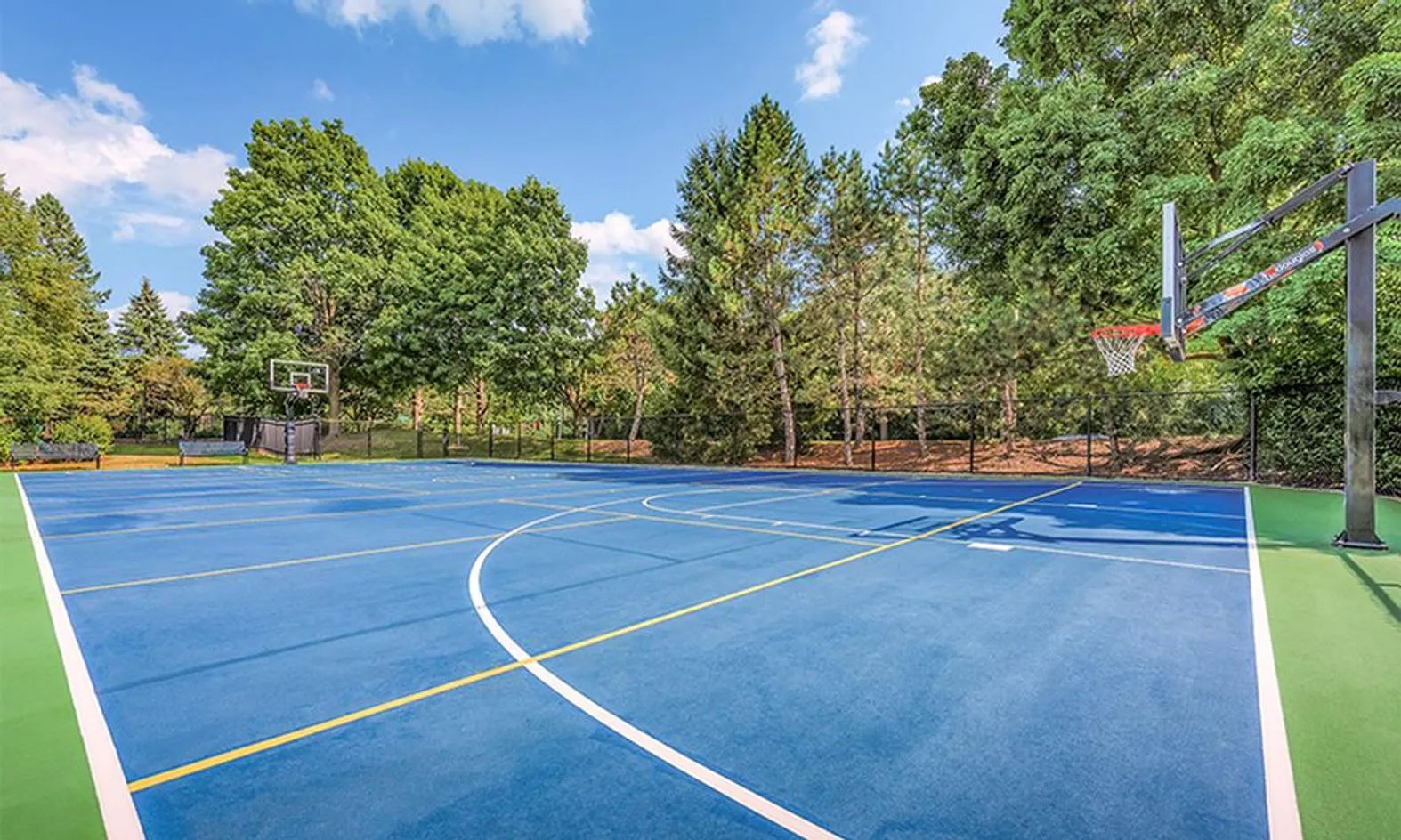 Basketball Court