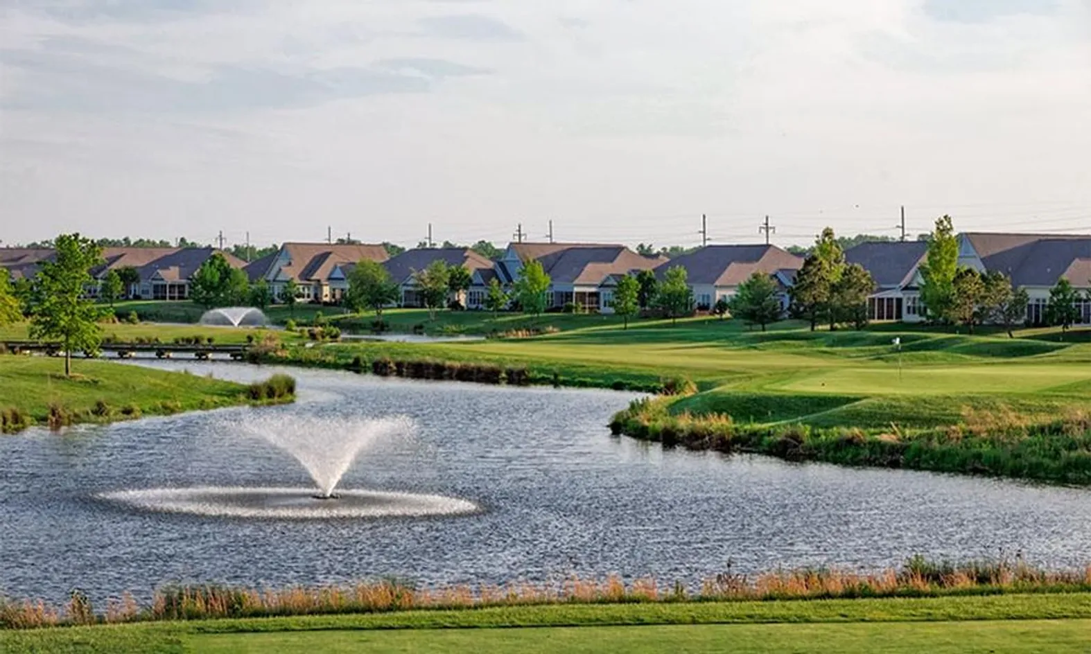 Scenic Ponds