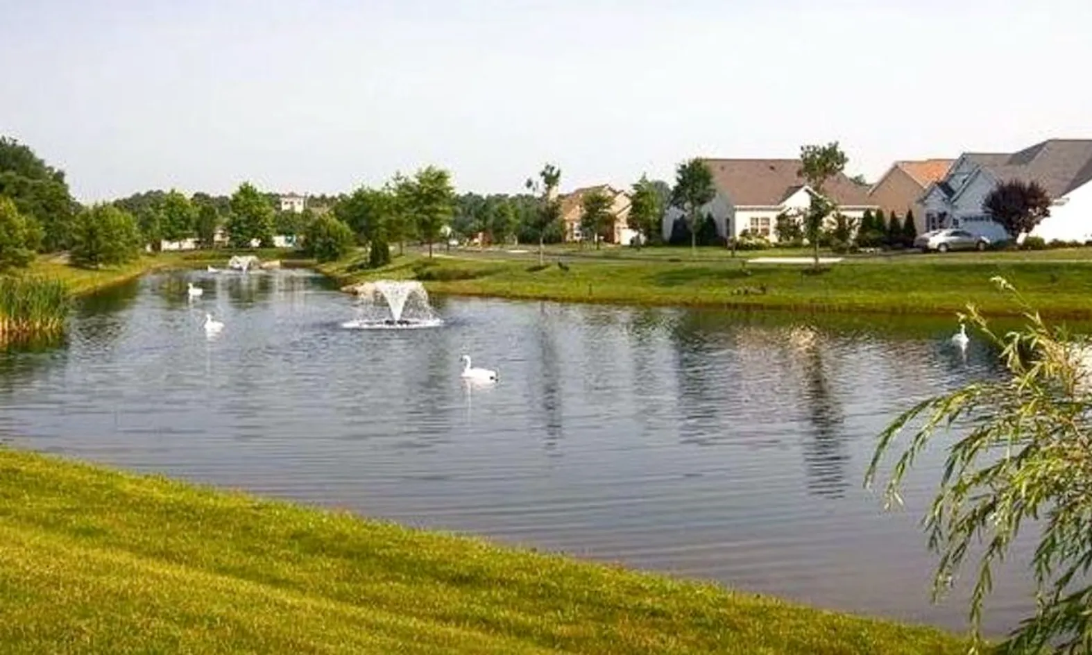 Scenic Ponds