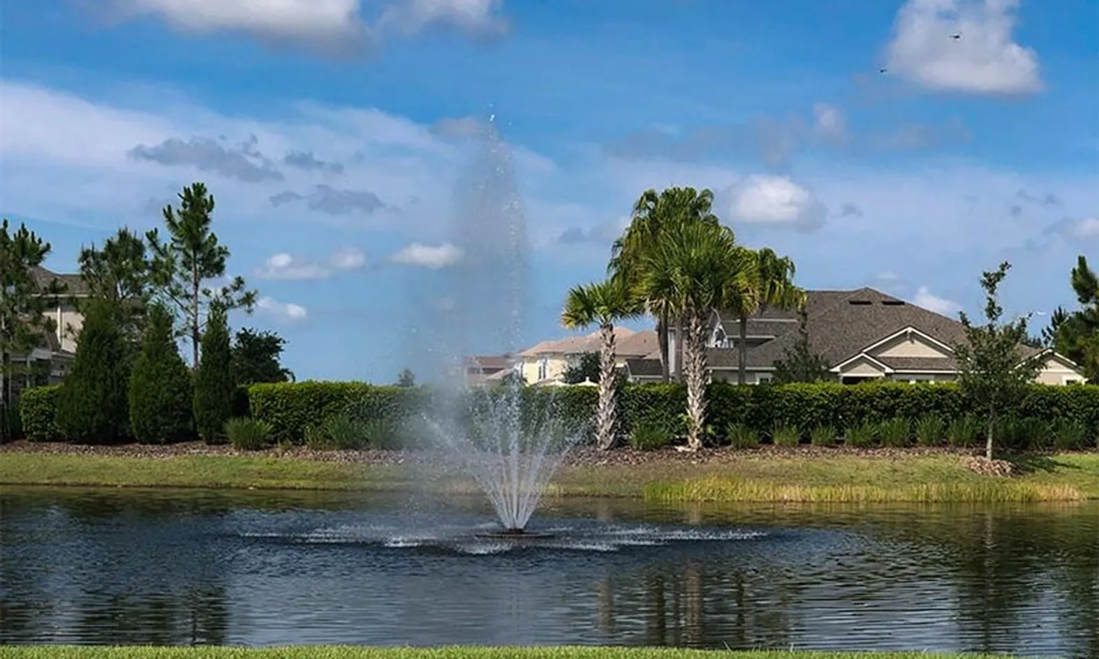 Scenic Ponds