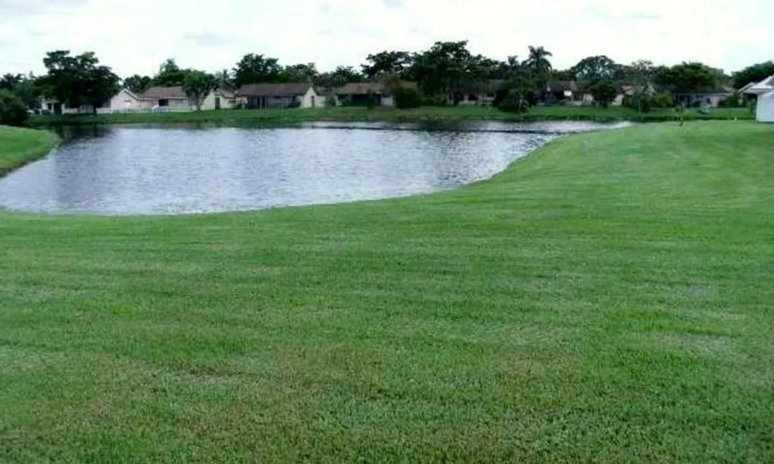 Scenic Ponds