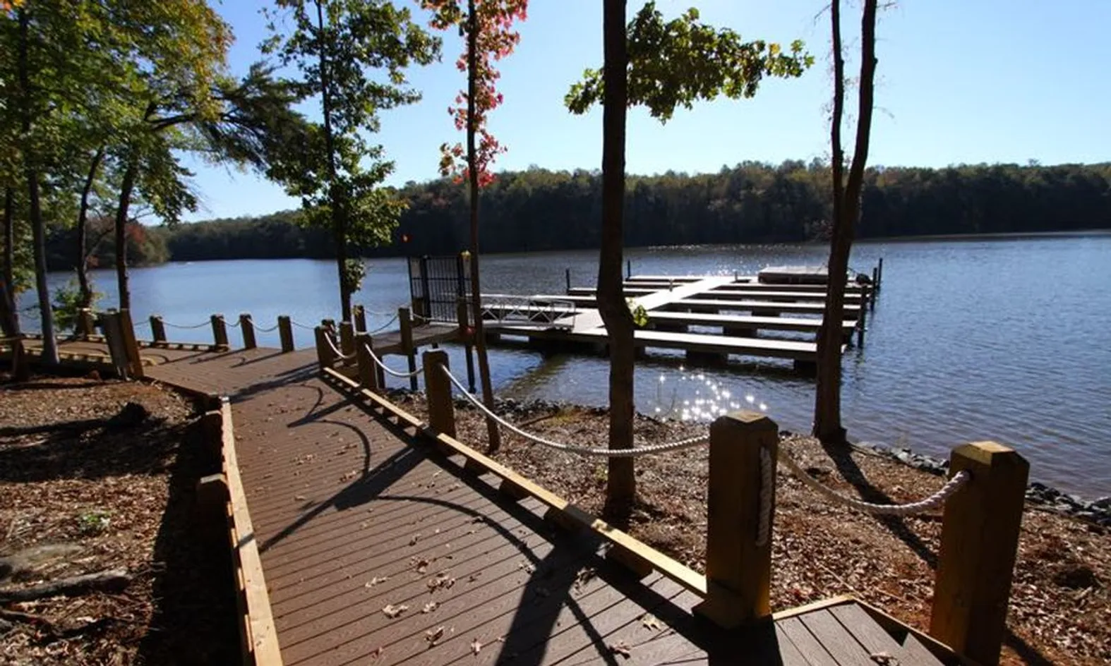 50 Boat Slips