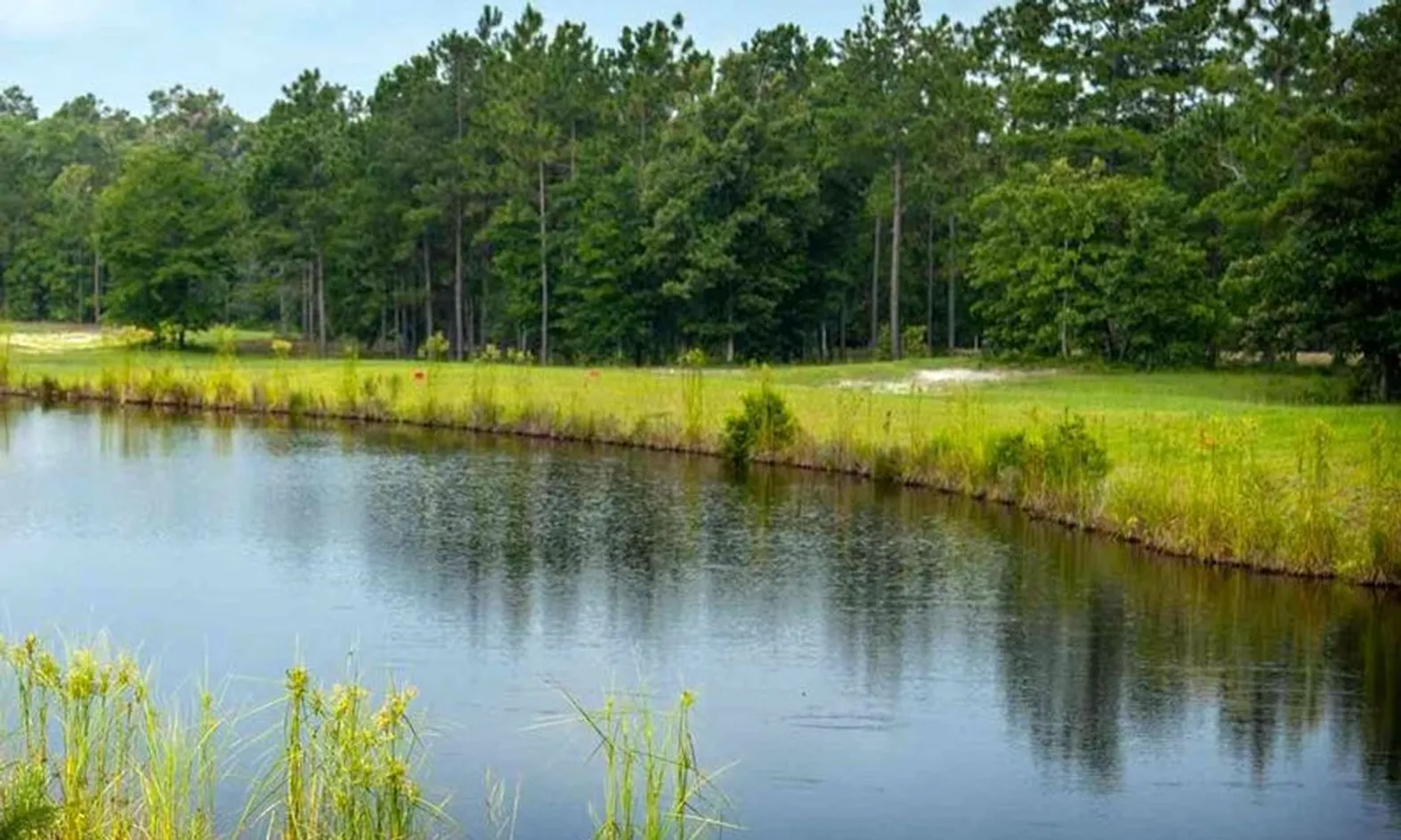 Parks & Natural Space
