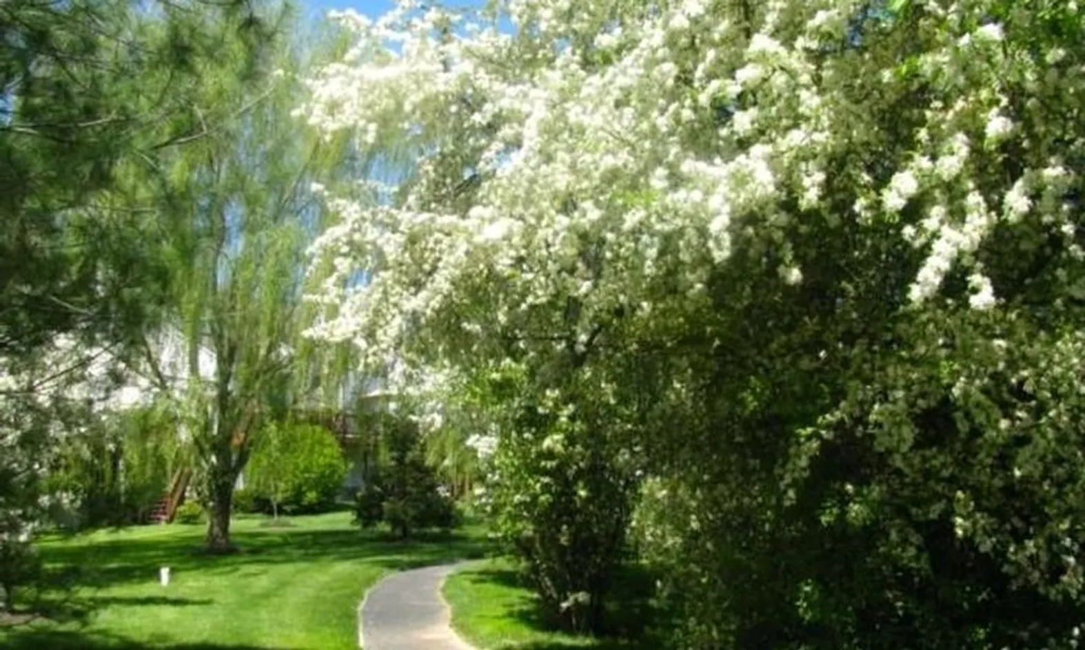 Walking & Biking Trails