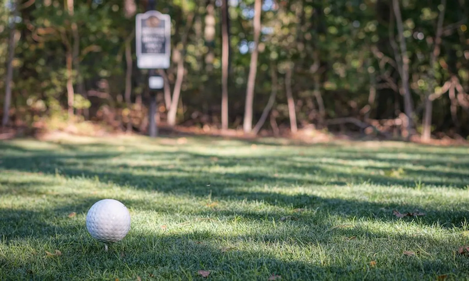 Putting Green