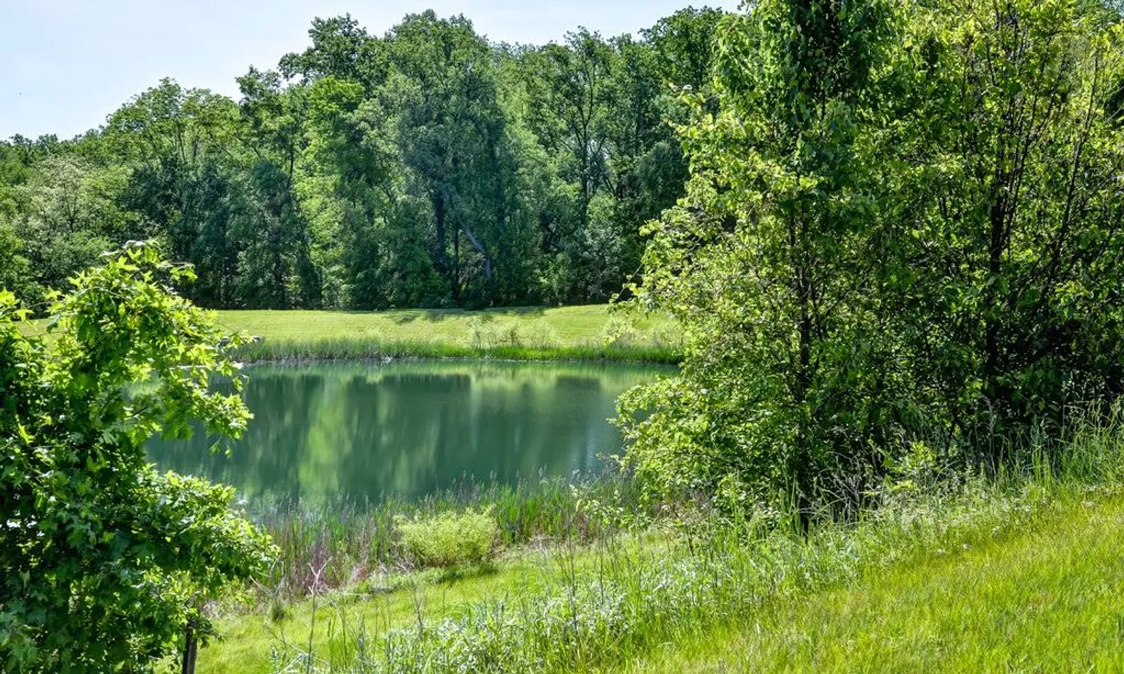 Scenic Ponds