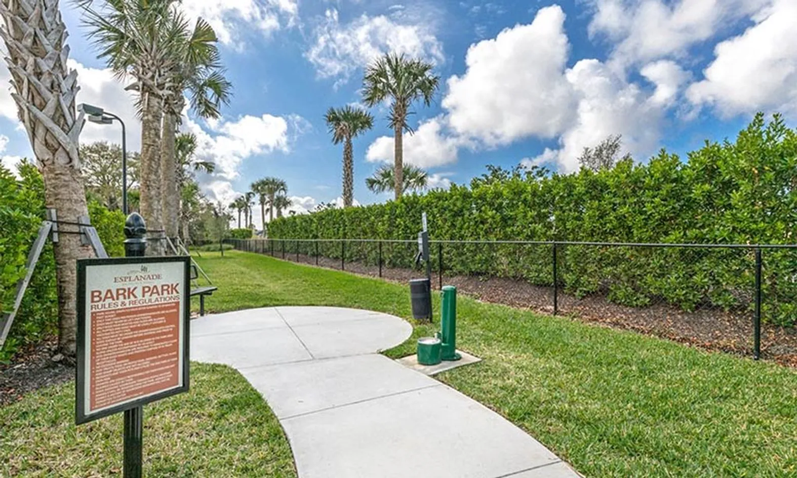 Dog Park