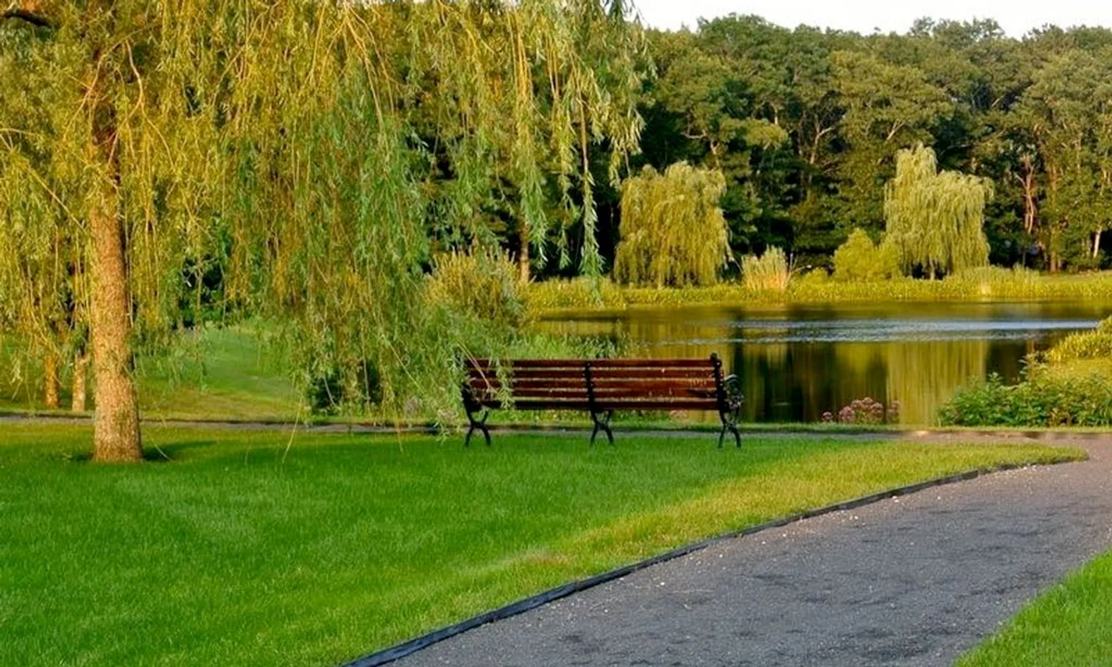 Walking & Biking Trails