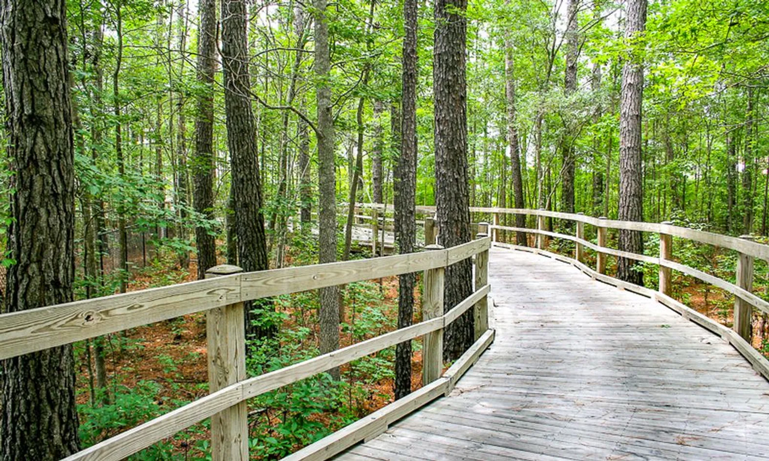 Walking & Biking Trails