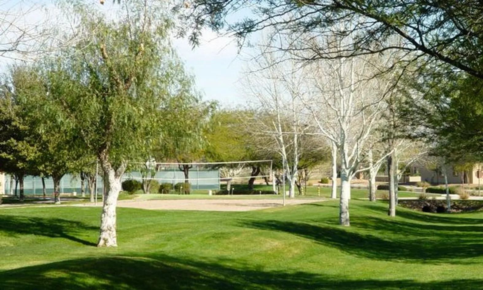 Volleyball Court